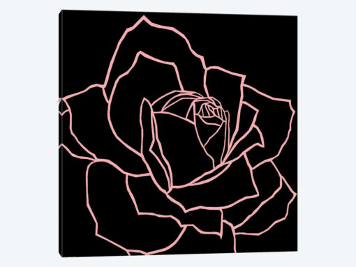 Danna Black Pink