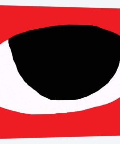 Eye