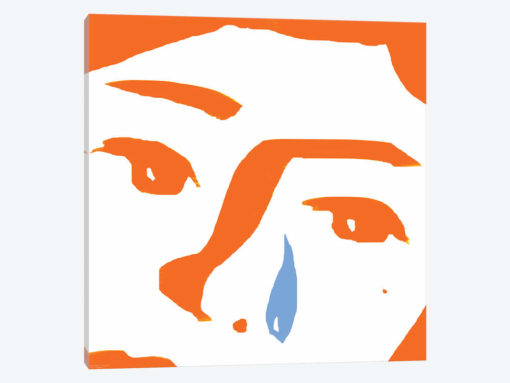 Face Of Female