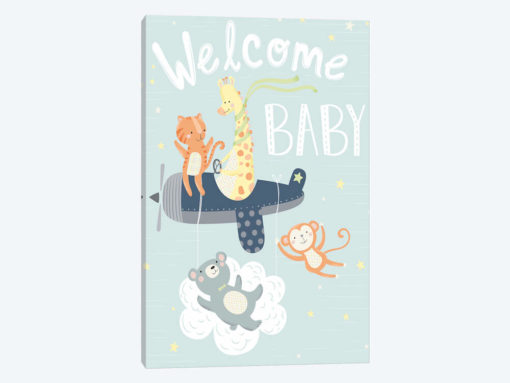 Baby's Adventure II