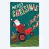 Festive Farmers Market II