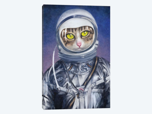 The Astronaut