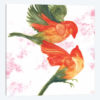 Birds Of Paradise