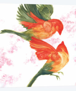 Birds Of Paradise