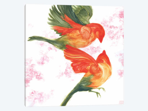 Birds Of Paradise