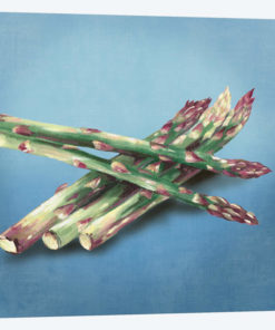 Asparagus