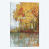 Forest Reflection I