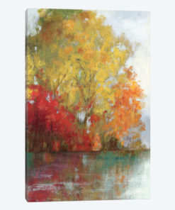 Forest Reflection II