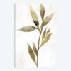 Gold Botanical IV