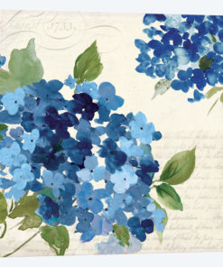 Hampton Hydrangea I
