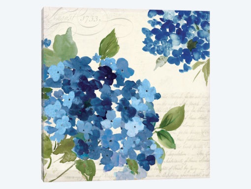 Hampton Hydrangea I