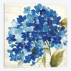 Hampton Hydrangea II