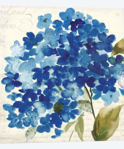 Hampton Hydrangea II