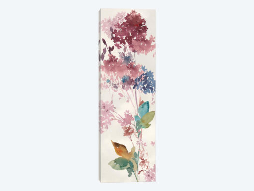 Hydrangea