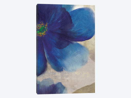Indigo Dreams IV
