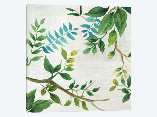 Lush Leaves
