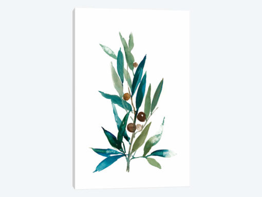 Olive Branch I