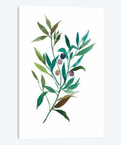 Olive I
