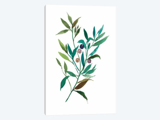 Olive I