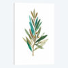Olive III
