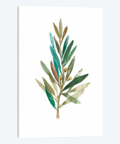 Olive III