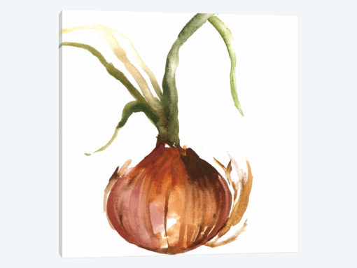 Onion
