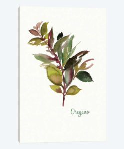 Oregano