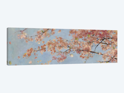 Osaka Blossoms I
