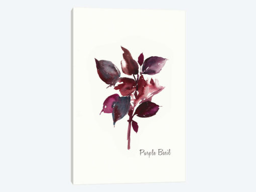 Purple Basil