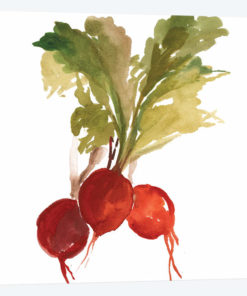 Radish