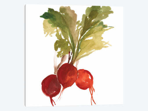 Radish