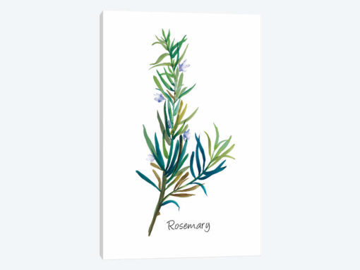 Rosemary I