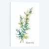 Rosemary II