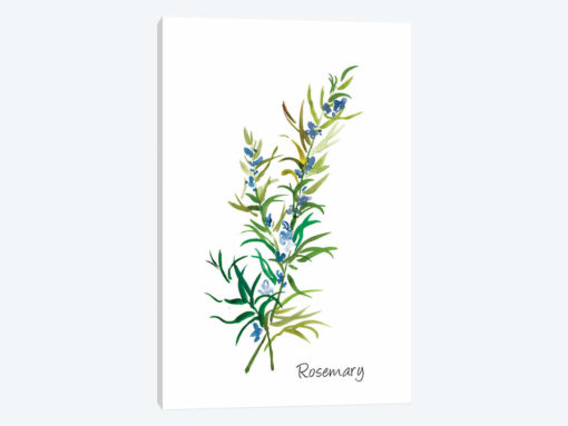 Rosemary II