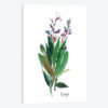 Sage I