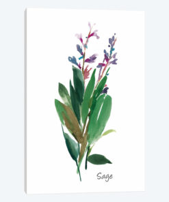 Sage I