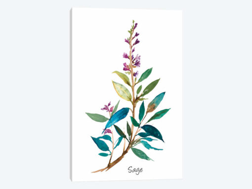 Sage II