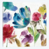 Sarcelle Jardin II