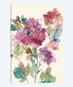 Sweet Hydrangea I