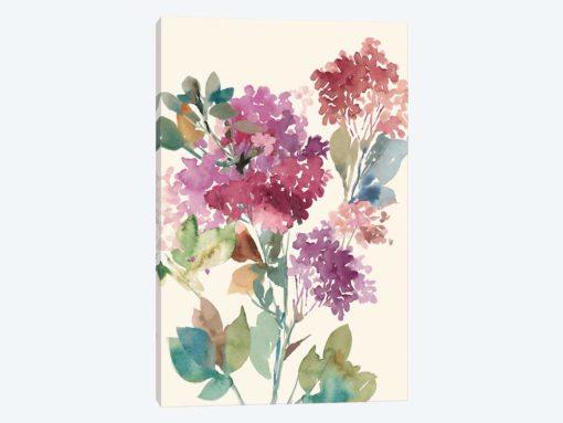 Sweet Hydrangea I