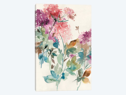 Sweet Hydrangea II