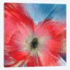 Aflame I