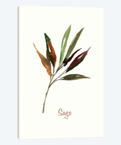 Wild Sage