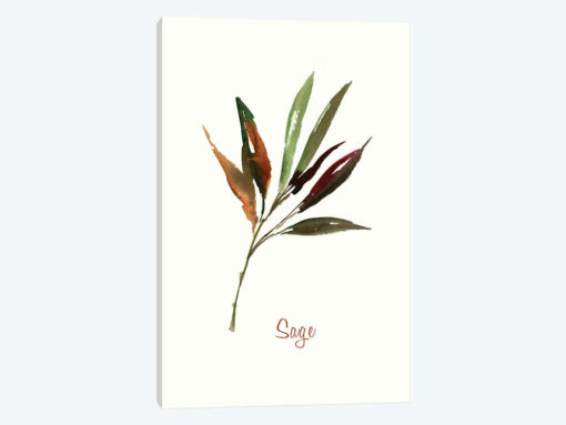 Wild Sage