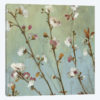 Wind Blossoms I