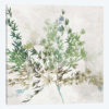 Olive Branch