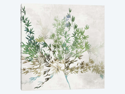 Olive Branch