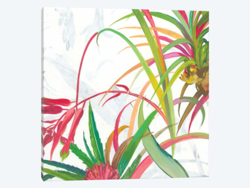 Tropical II