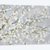 White Blossoms
