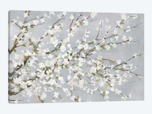 White Blossoms